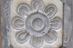 zierstein_sonnenblume